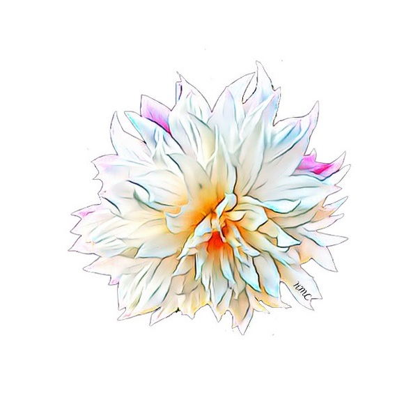 Dahlia flower 🌸 5x7 with a 8x10 mat - Picture 2 of 3